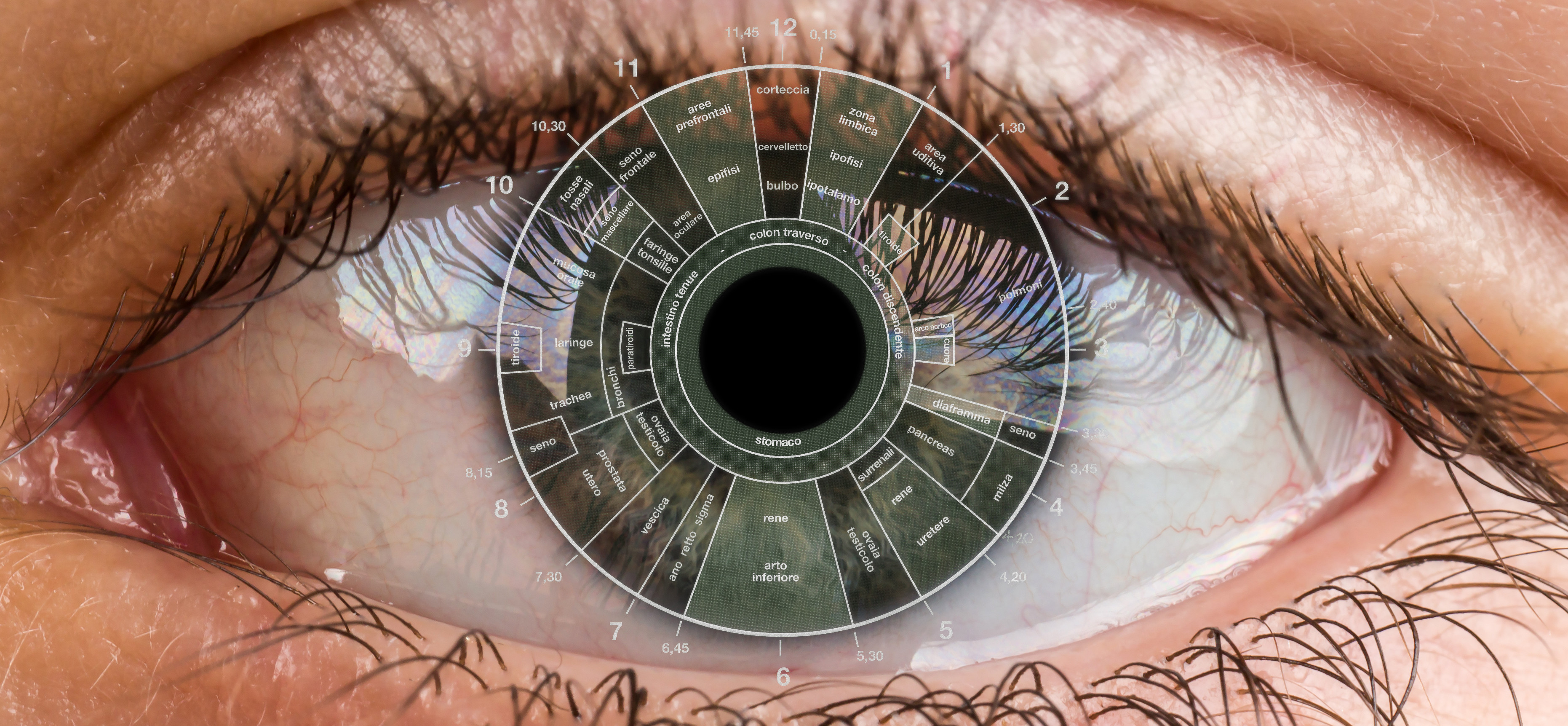 IRIDOLOGIA, UNA TECNICA DI VALUTAZIONE MULTIDISCIPLINARE