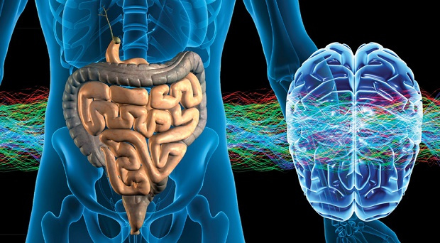 L’ASSE INTESTINO-CERVELLO E LE SUE IMPLICAZIONI SULLA SALUTE MENTALE E FISICA