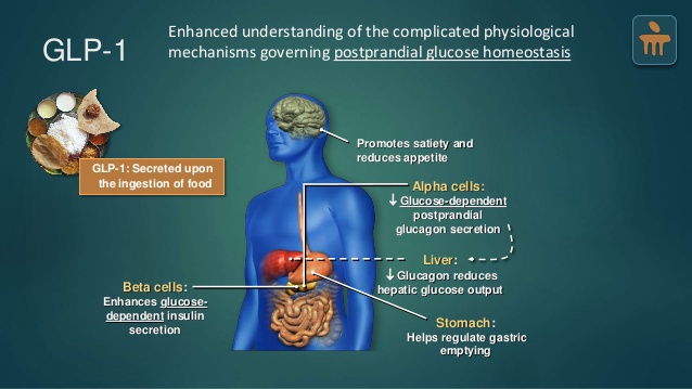 INTESTINO E REGOLAZIONE GLICEMICA: STRATEGIE NATURALI A SUPPORTO