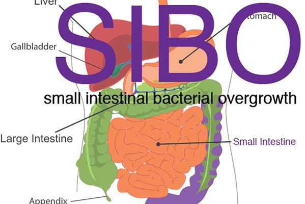 COSA E’ LA SIBO E COME VIENE TRATTATA IN MODO NATURALE