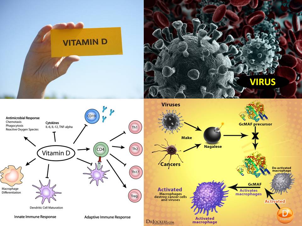 SOSTENERE L’IMMUNITA’ CON LA VITAMINA D