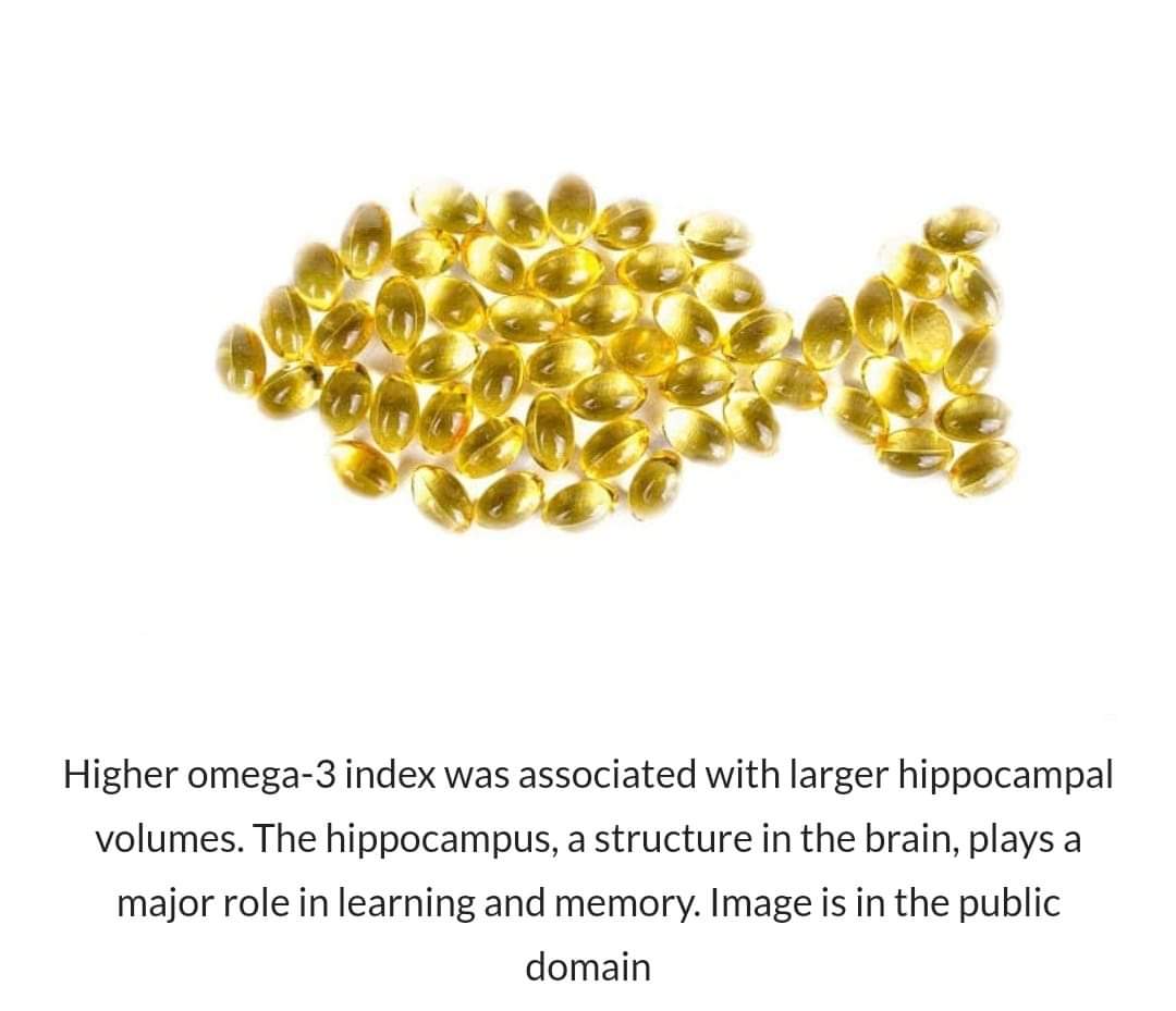 OMEGA 3 MIGLIORANO LA MEMORIA E PREVENGONO LA DEMENZA