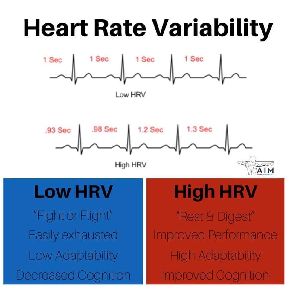 VARIABILITÀ CARDIACA E PERMEABILITÀ CAPILLARE